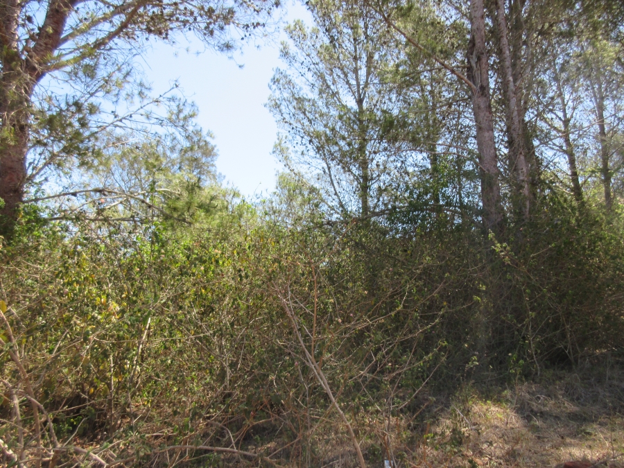 0 Bedroom Property for Sale in Bathurst Eastern Cape